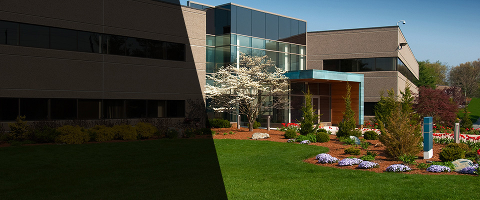 Prinsburg Landscapers