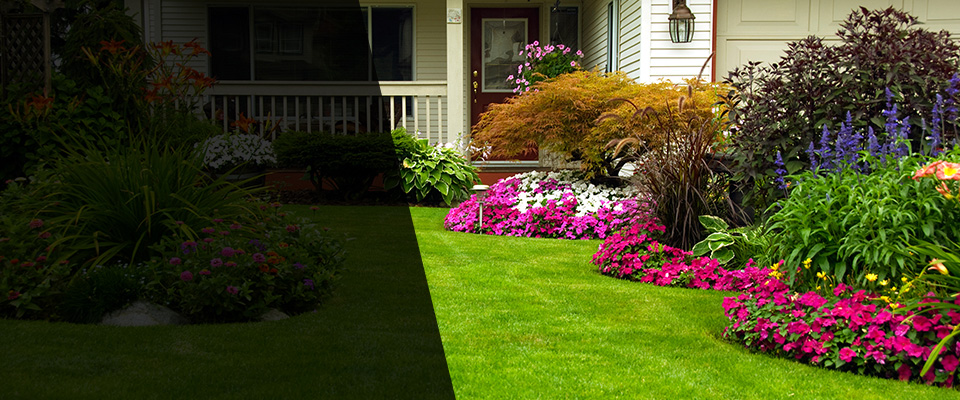 Prinsburg Landscapers