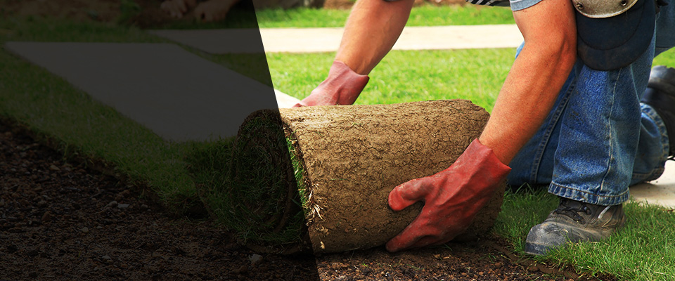 Prinsburg Landscapers